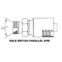 3/8 X 3/8 Male British Standard Pipe Parallel 3/8 X 3/8 Male British Standard Pipe Parallel